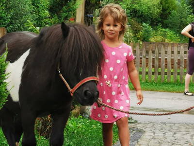 Bild 70 aus  Greischbergerhof