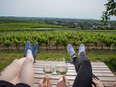 Bild 24 aus  Rebenhof