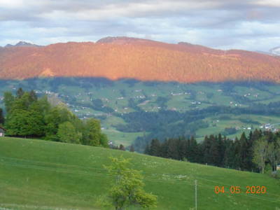 Bild 24 aus  Ferienhof Feurle