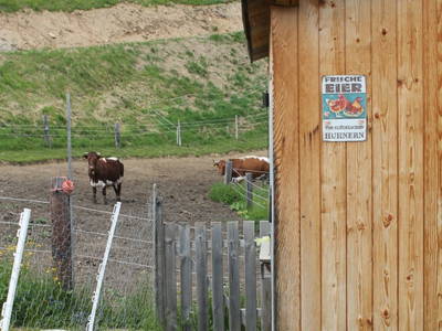 Bild 201 aus  Untererschbaum