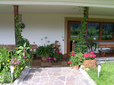 Bild 23 aus  Wildschütz