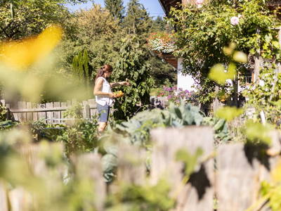 Bild 3 aus  Oberhaslachhof