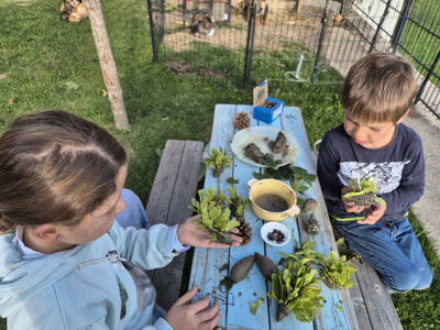 Bild 50 aus  Seyerlehnerhof