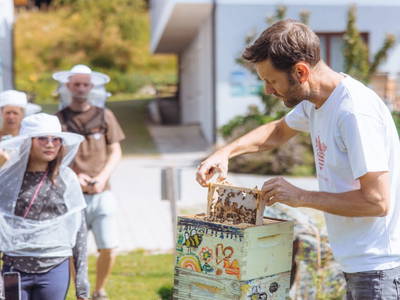 Bild 7 aus  Kronhofer - Apartments und Erlebnis-Imkerei