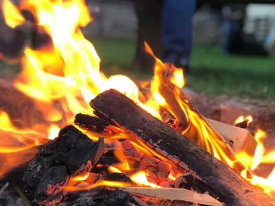 Bild 31 aus  Waldhäuslhütte