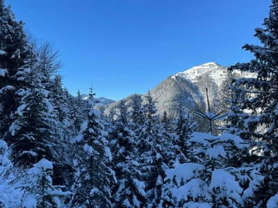 Bild 87 aus  Ascherhof