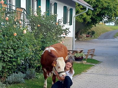 Bild 2 aus  Bauernhof Koglhofer