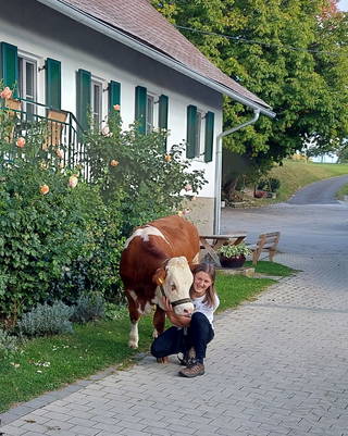 Bauernhof Koglhofer aus Stubenberg
