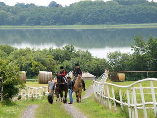 Gestüt Hof am See - Bild 1