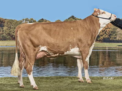 Bild 49 aus  Ferienwohnungen Kiendlerhof