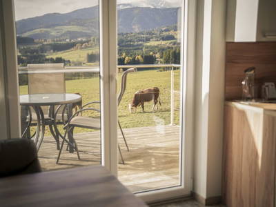 Bild 32 aus  Hacknerhof