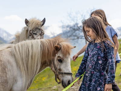 Bild 11 aus  Panoramahof am Goldberg