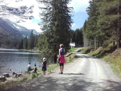 Bild 39 aus  Grassleralm