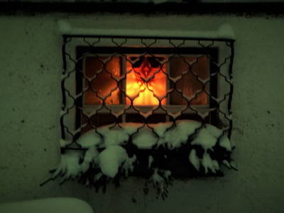 Bild 43 aus  Trialhof Schaureith