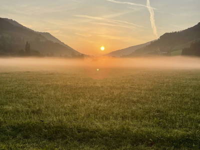 Bild 155 aus  Heisshof 