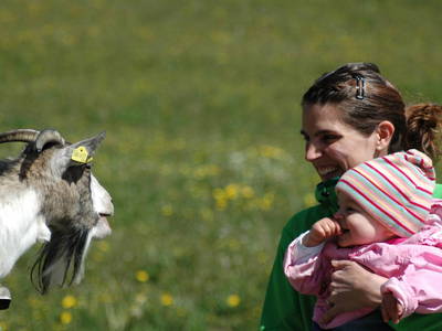 Bild 57 aus  Panoramahof am Goldberg