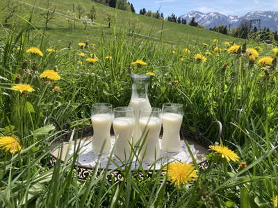 Bild 98 aus  Familie Nußbaumer 