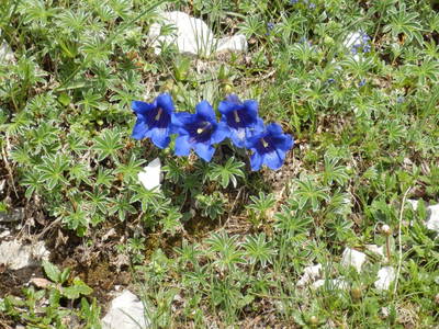 Bild 21 aus  Sturmhof