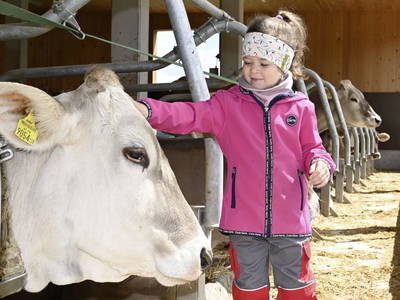 Bild 63 aus  Ferienhof Landerleben