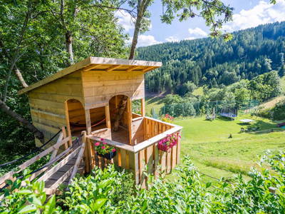 Bild 10 aus  Almbauer