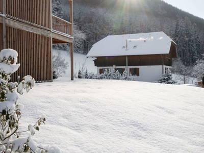 Bild 86 aus  Hofstatt Salzburg Ferienhaus 