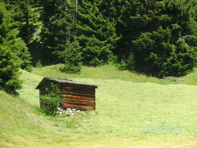 Bild 13 aus  Reinalter