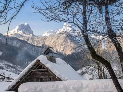 Bild 54 aus  Lackenbauer