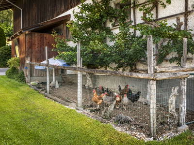 Bild 101 aus  Maierlehen