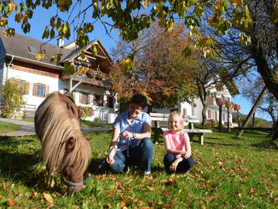 Bild 2 aus  Hoferpeter