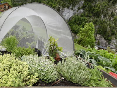 Bild 34 aus  Hof Erath