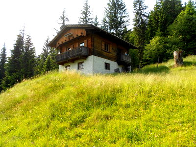 Bild 9 aus Almhütte - Bei der Gose