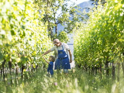 Bild 12 aus  Traubenhof    Pures Leben-Echt und natürlich