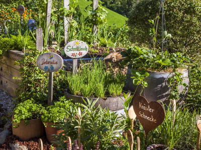 Bild 62 aus  Ederbauer