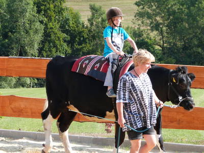 Bild 54 aus  Familienbauernhof Faß