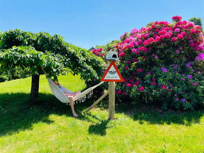 Bild 110 aus  Kleelehof