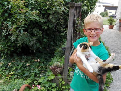 Bild 13 aus  Bio-Weingut Gruber43