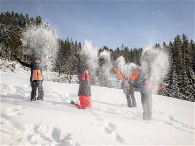 Bild 13 aus Griesbauer - Familie Gehwolf