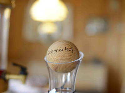 Bild 48 aus  Biobauernhof Gehrnerhof Warth am Arlberg