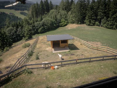 Bild 4 aus  Nussbolterhube