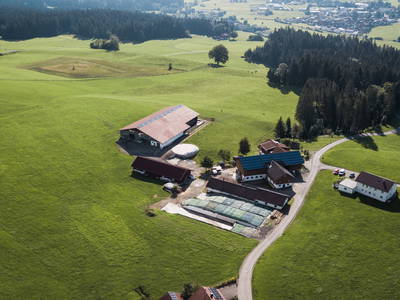 Bild 7 aus  Idyllischer Stellplatz im Westallgäu