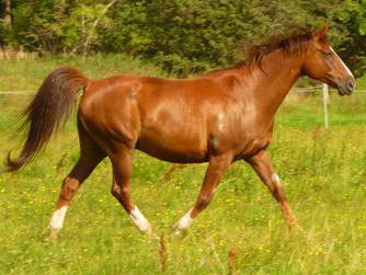 Bild 25 aus  Hof Grüneberg