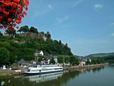 Bild 20 aus  Ferienweingut Willems, Maria Willems