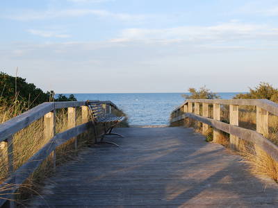Bild 74 aus  Ahoi Ostsee:  Bauernhof und OstseeUrlaub - Ferienhof Becker in Dahme