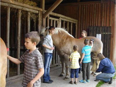 Bild 24 aus  Leverenzhof