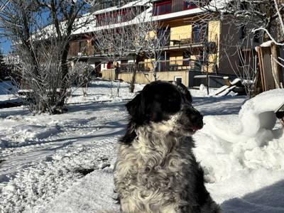Luna mag den Schnee