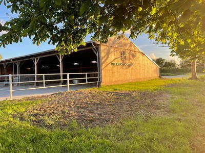 Bild 7 aus  Der Wilhelminenhof