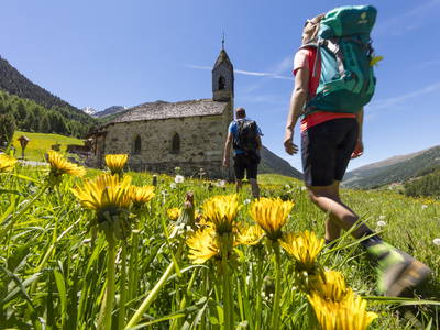 Bild 46 aus  BIO Bergbauernhof Inner-Glieshof