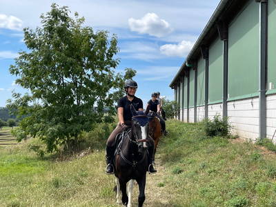 Bild 16 aus  Reitschule Fuchsenhof FN