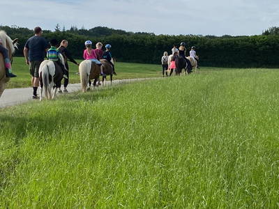 Bild 34 aus  Ferienhof Messer  Bauernhofurlaub  Ostseenähe  Ponys