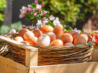 Bild 8 aus  Hofgut Willburger